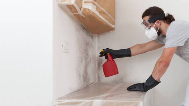 Professional Bathroom Mold Removal technician working in Balm, FL