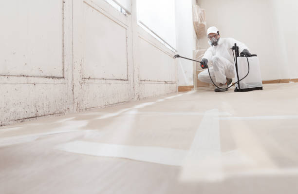 24/7 Emergency Bathroom Mold Removal experts in Balm, FL